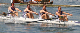 Henley 06 (36)