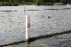 Henley 06 (86)