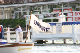 Henley 06 (182)