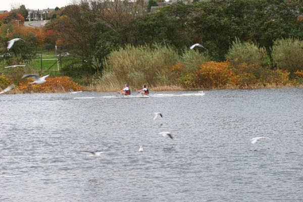 Abdn_SB_HOR_06-069