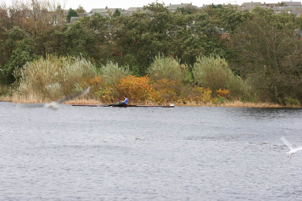 Abdn_SB_HOR_06-097