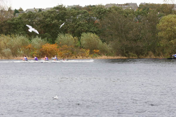 Abdn_SB_HOR_06-099
