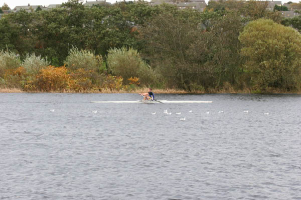 Abdn_SB_HOR_06-102